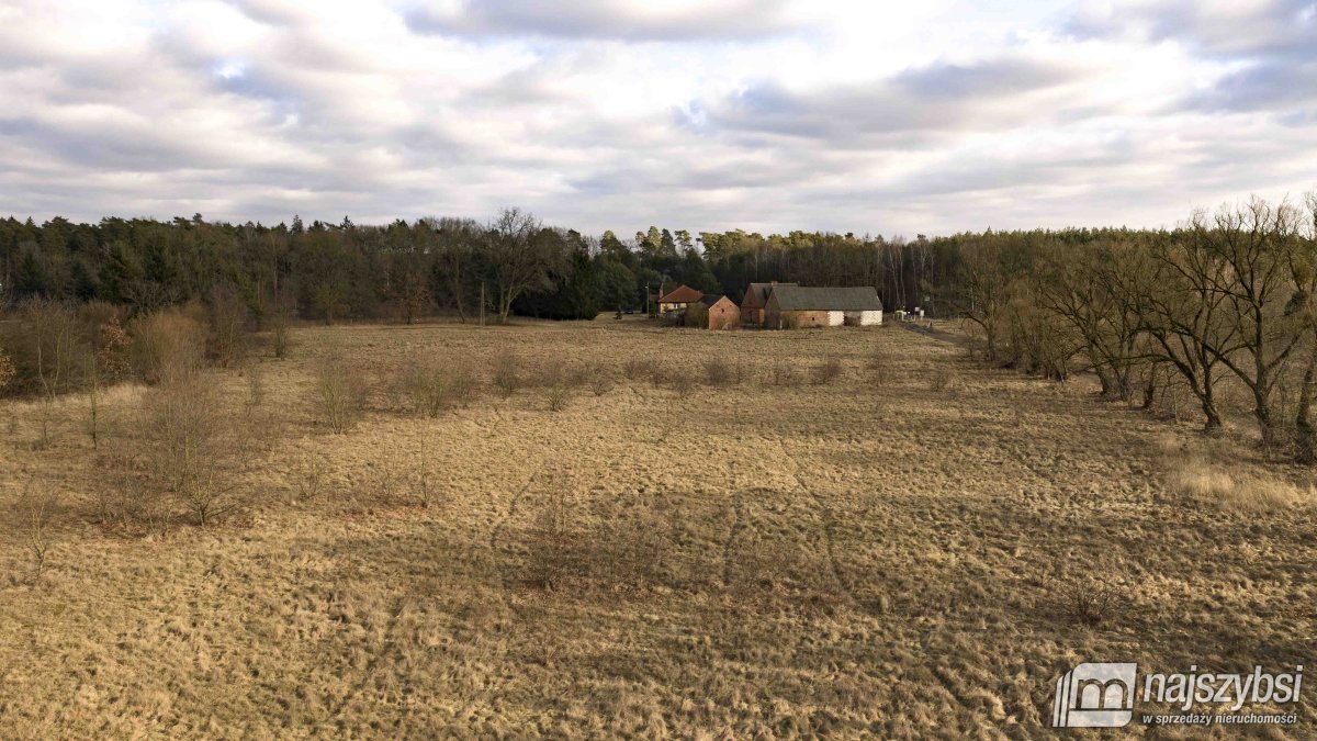 Krępsko - działka 3000 m2 otoczona naturą (4)