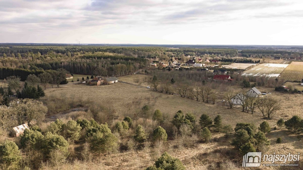Krępsko - działka 3000 m2 otoczona naturą (5)