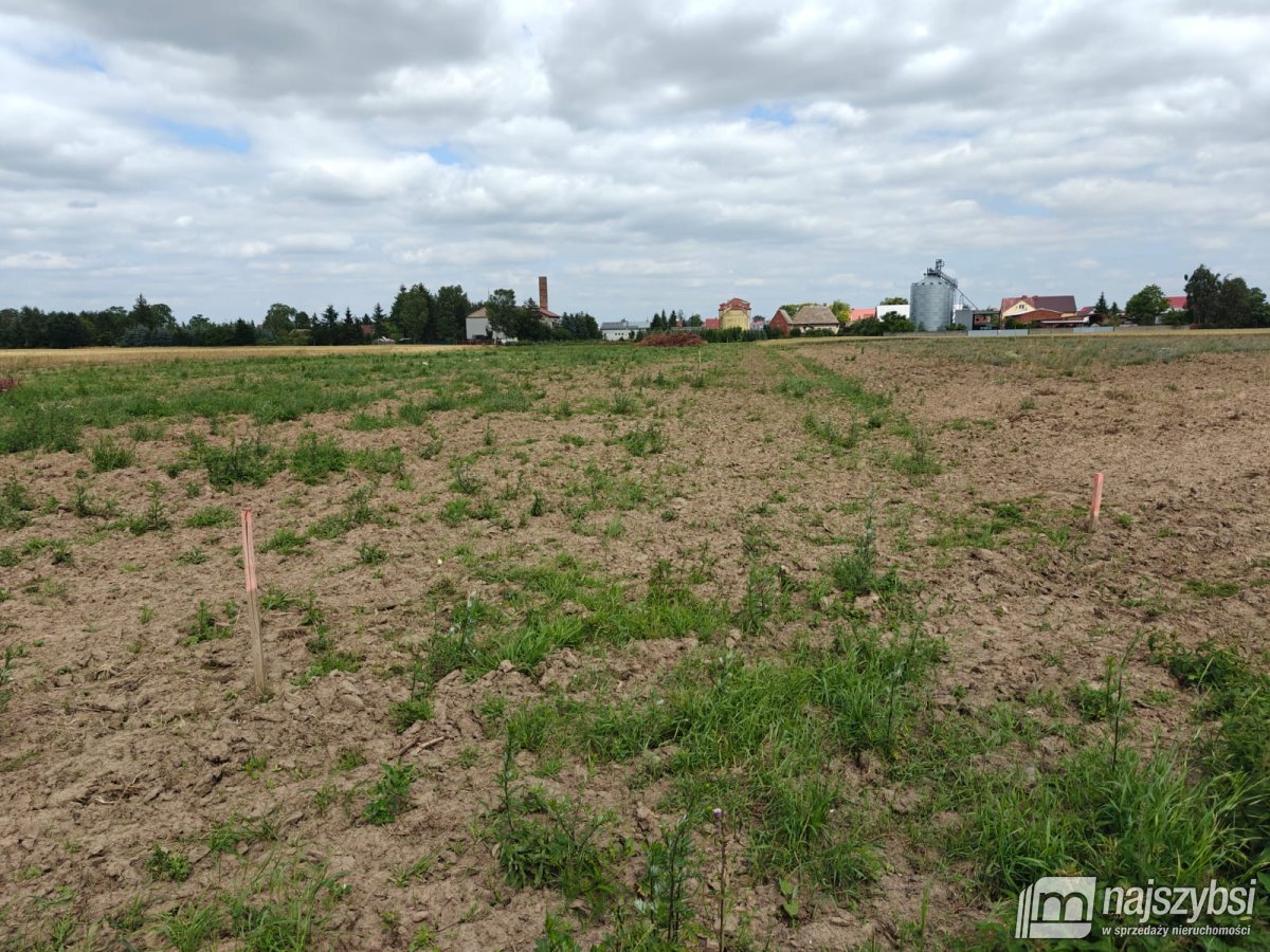 Bielice - działka z Warunkami Zabudowy (8)