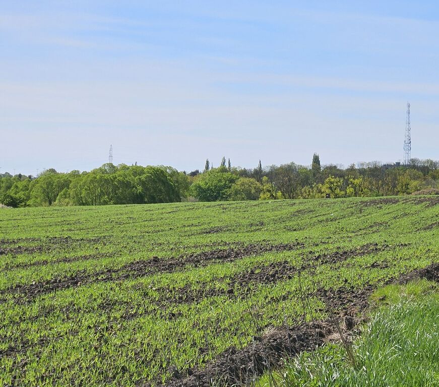 SKOLWIN - KAPITAŁ, KTÓRY MOŻE ZAPRACOWAĆ !!! (3)