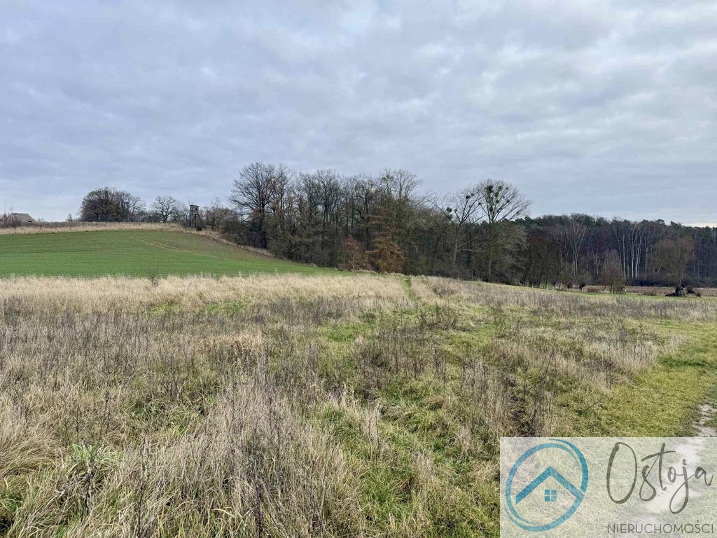 Działka w Kamieńcu, spokojna i zielona okolica (2)