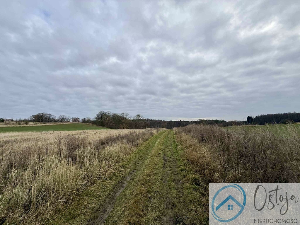 Działka w Kamieńcu, spokojna i zielona okolica (3)