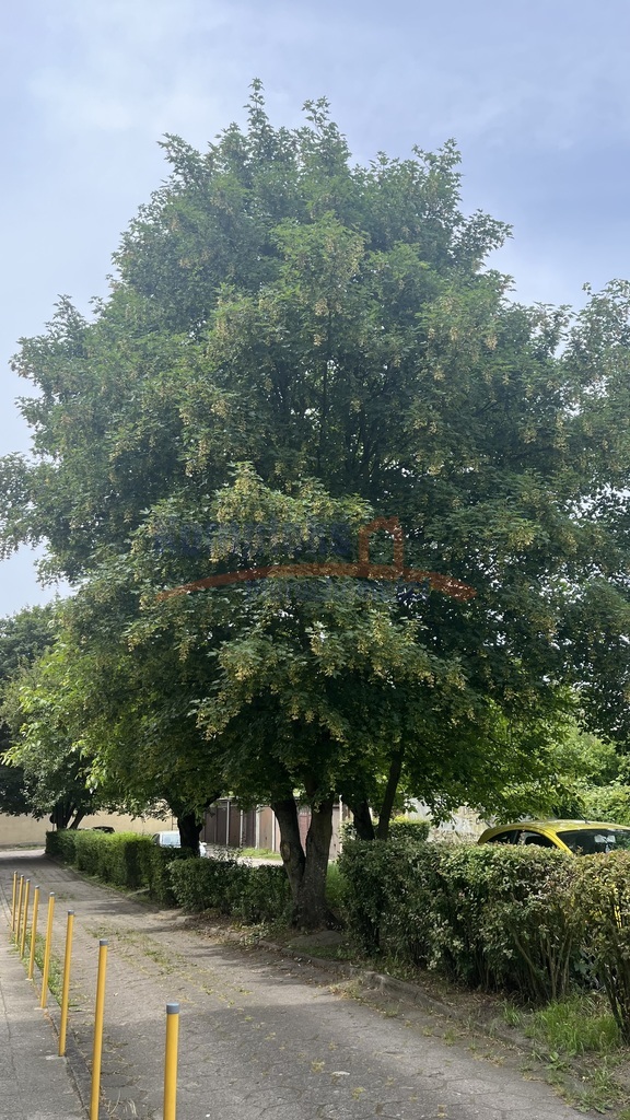 Pogodno - 2 pokoje, balkon -po kapitalnym remoncie (27)