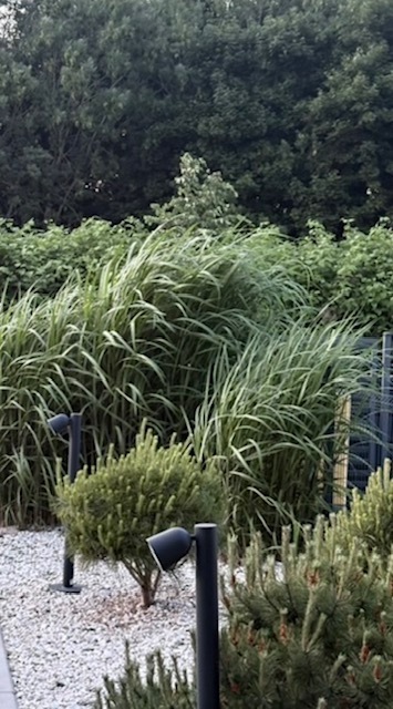 Dom - Segment 140 m2 System Hybrydowy Premium (21)