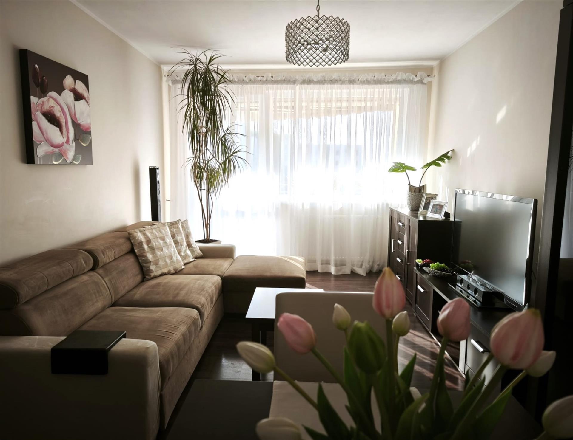 Mieszkanie 3 - pokojowe z loggią w Koszalinie (2)