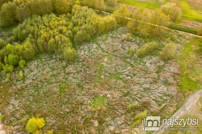 Działka inwestycyjna w Dąbiu.   (10)