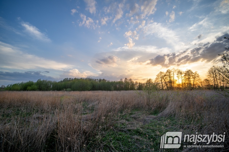 Działka inwestycyjna w Dąbiu.   (18)
