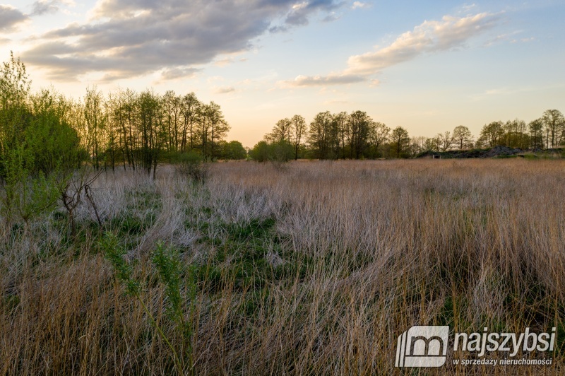 Działka inwestycyjna w Dąbiu.   (3)