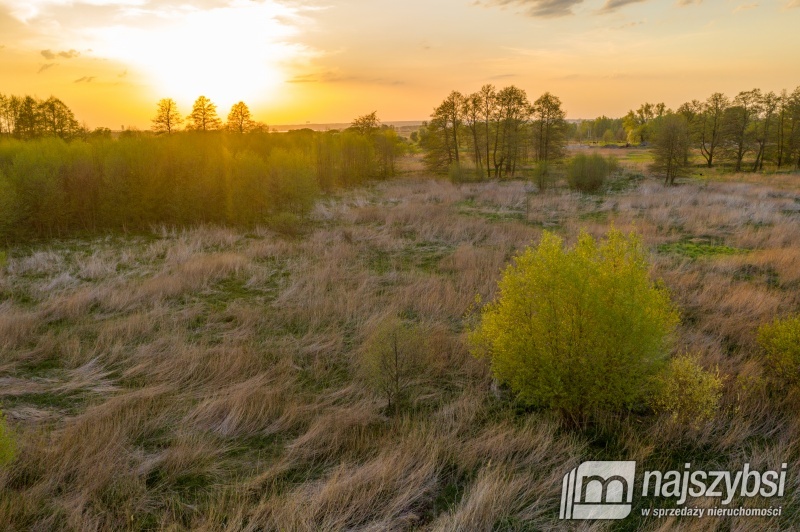 Działka inwestycyjna w Dąbiu.   (5)
