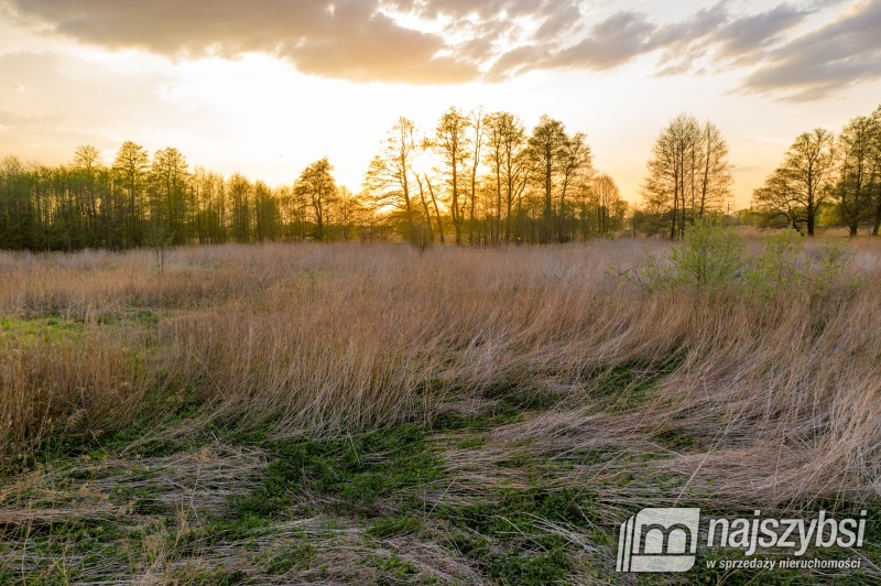 Działka inwestycyjna w Dąbiu.   (9)