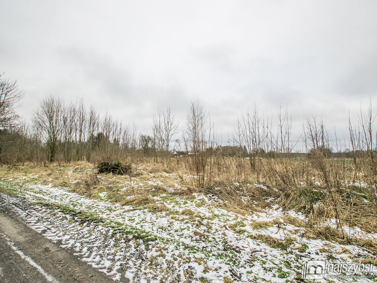 GOLCZEWO ZIEMIA ROLNA  0,30 ha (11)