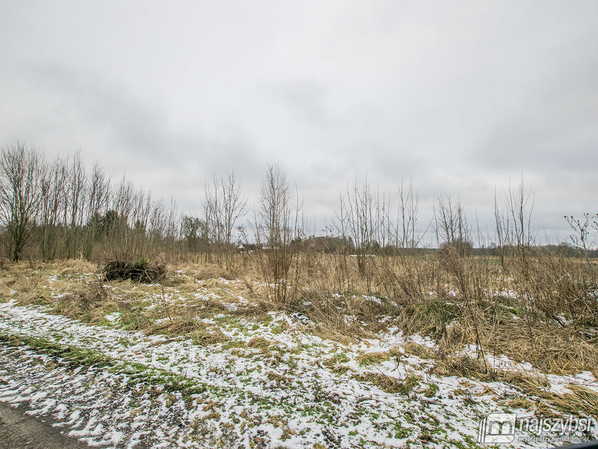 GOLCZEWO ZIEMIA ROLNA  0,30 ha (12)