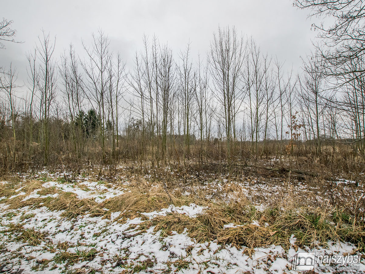 GOLCZEWO ZIEMIA ROLNA  0,30 ha (13)