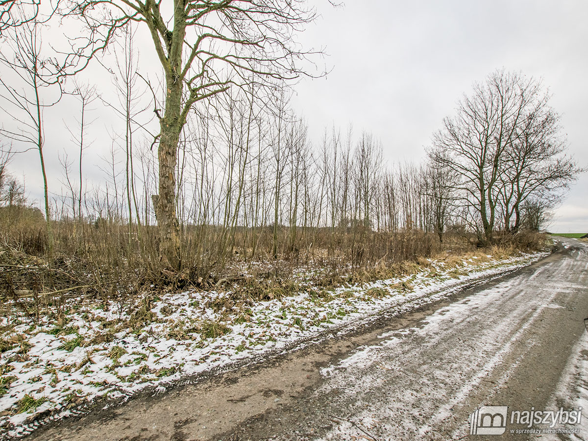 GOLCZEWO ZIEMIA ROLNA  0,30 ha (3)