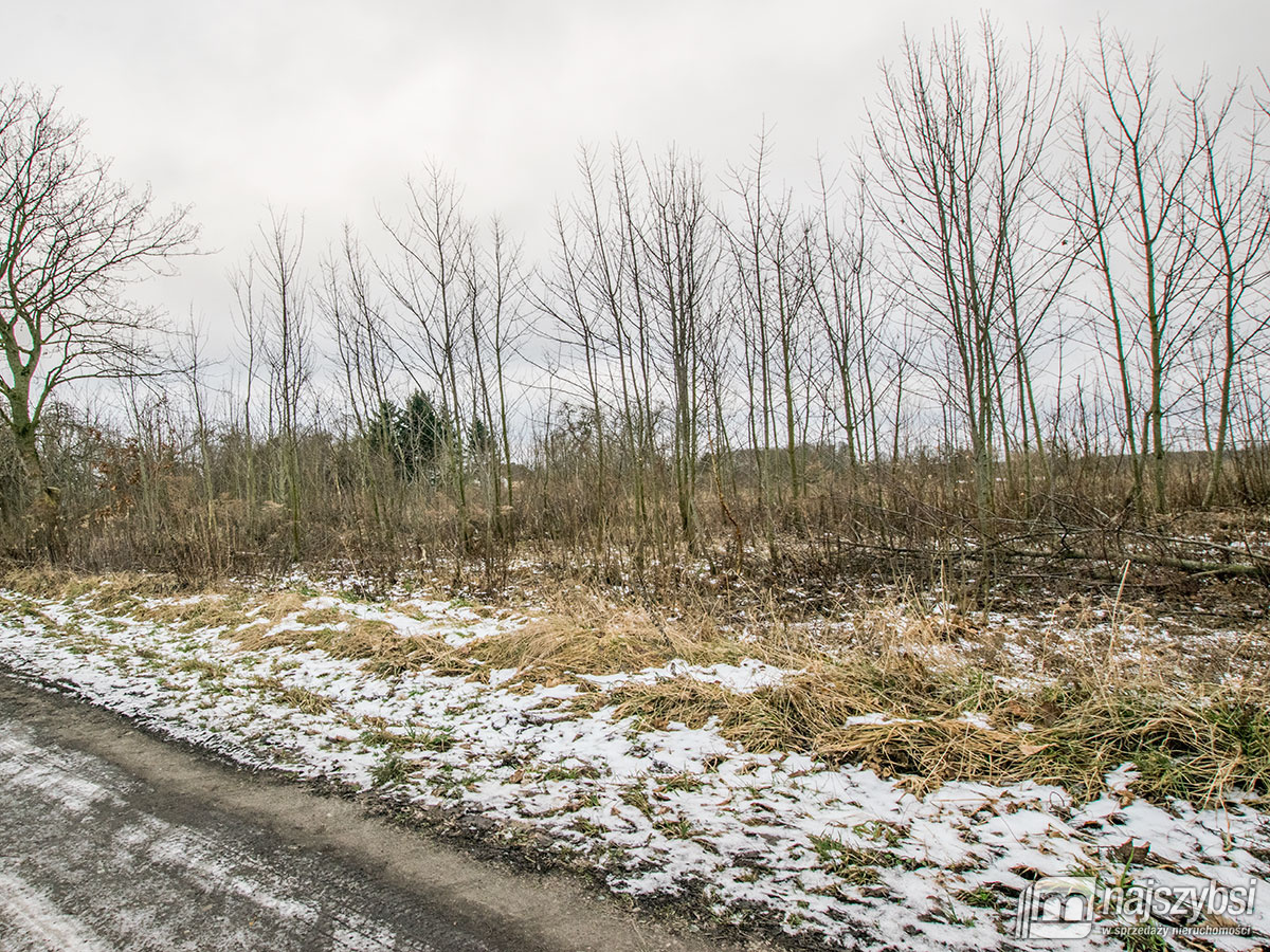 GOLCZEWO ZIEMIA ROLNA  0,30 ha (4)