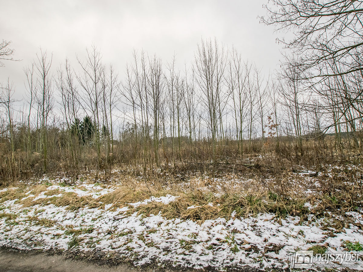 GOLCZEWO ZIEMIA ROLNA  0,30 ha (5)