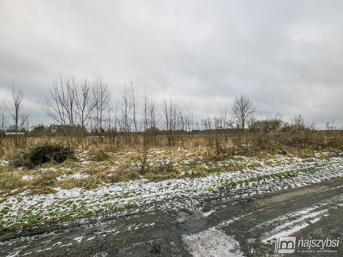 GOLCZEWO ZIEMIA ROLNA  0,30 ha (6)