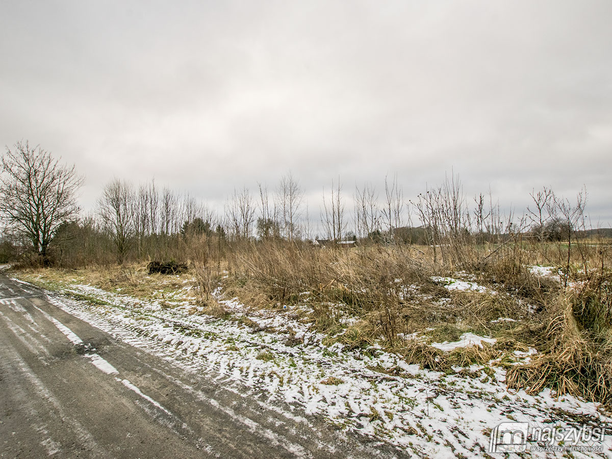 GOLCZEWO ZIEMIA ROLNA  0,30 ha (7)