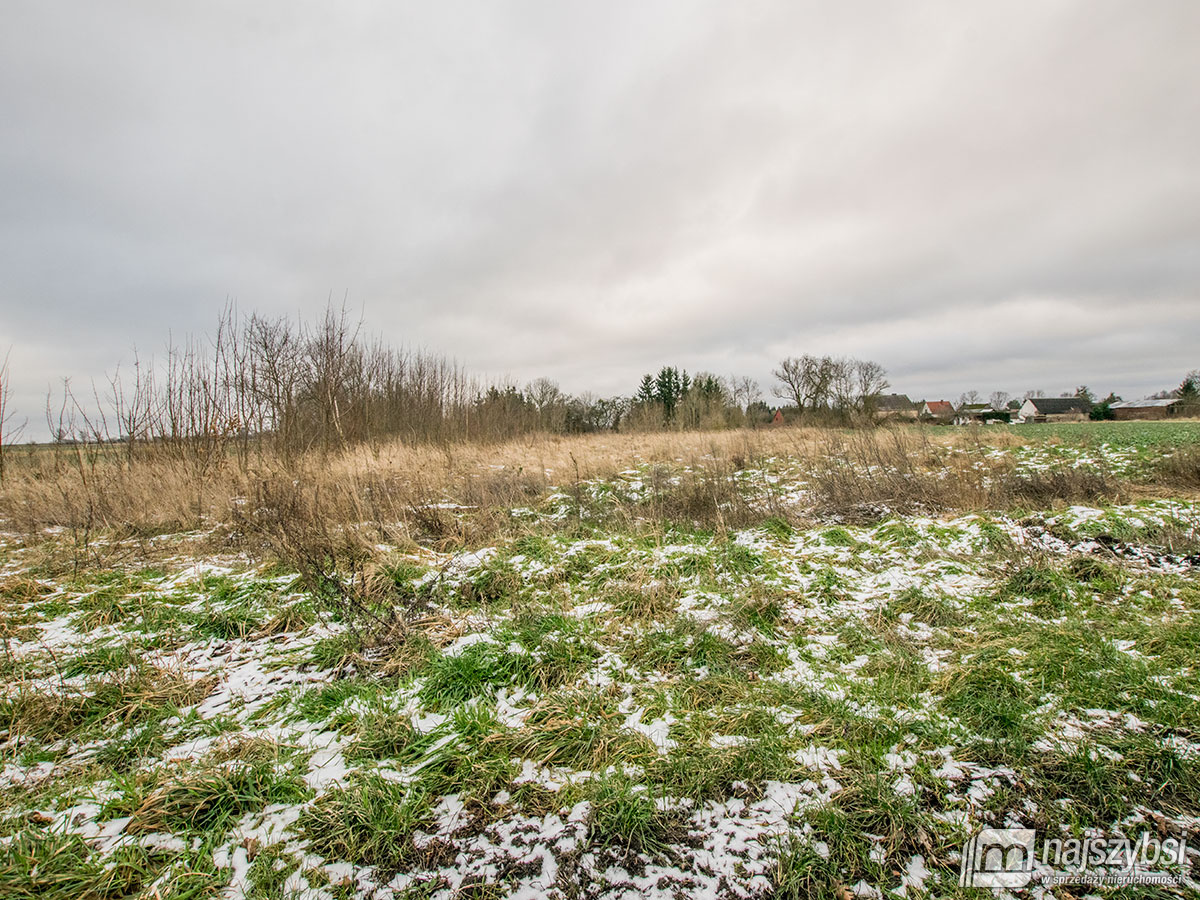 GOLCZEWO ZIEMIA ROLNA  0,30 ha (8)