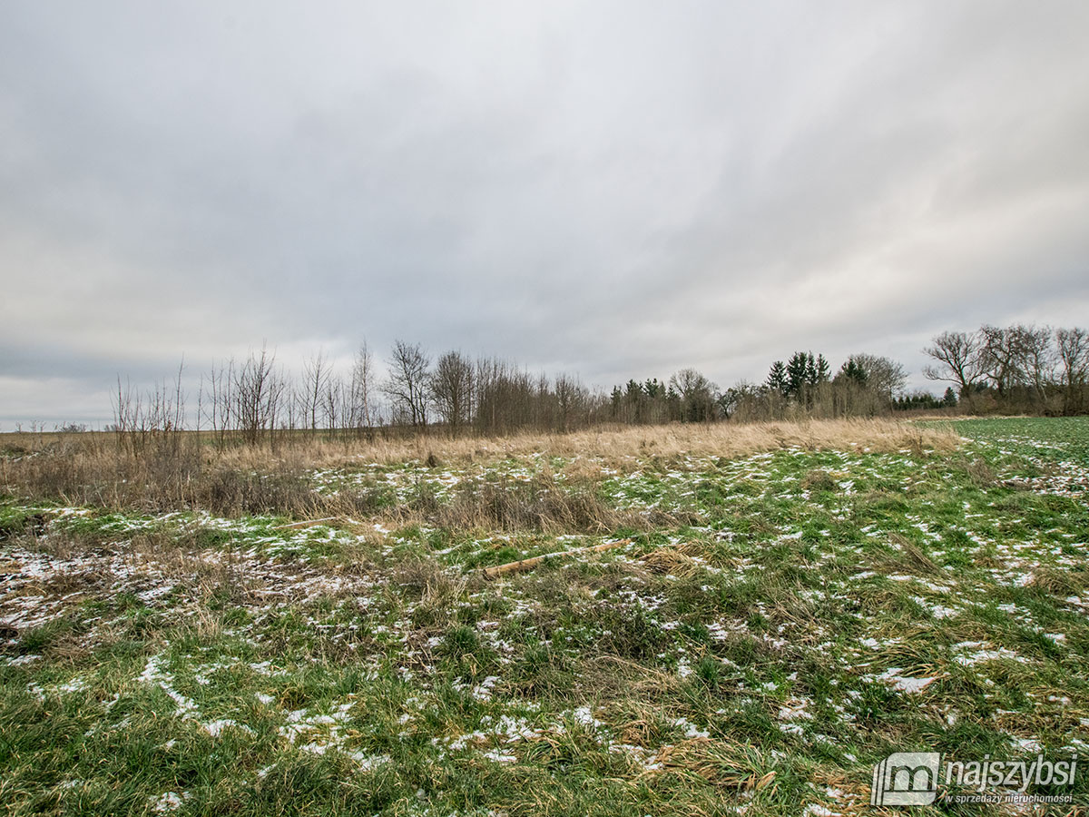 GOLCZEWO ZIEMIA ROLNA  0,30 ha (9)