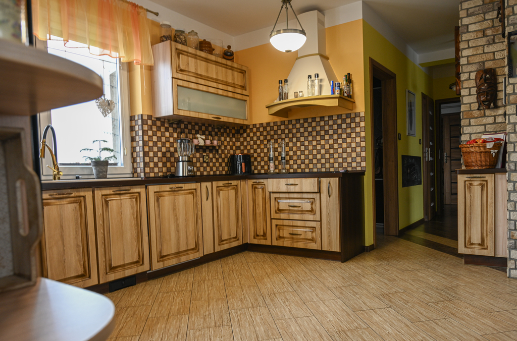 Dom wolnostojący, stawy, wędzarnia -duża działka (6)