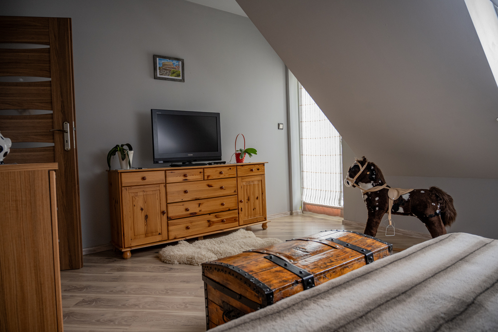 Dom wolnostojący, stawy, wędzarnia -duża działka (16)