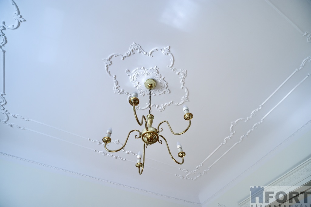 Doskonała lokalizacja i prestiż dladomu lub firmy (23)