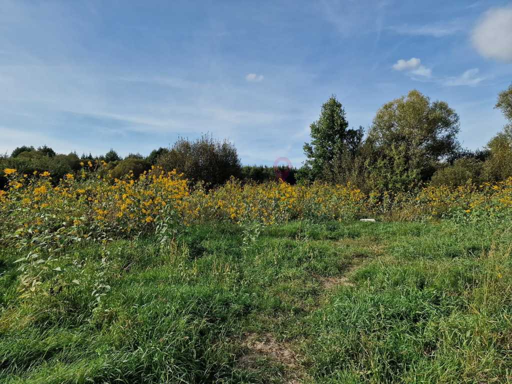 Ostatnia działka z WZ w spokojnej okolicy! (2)