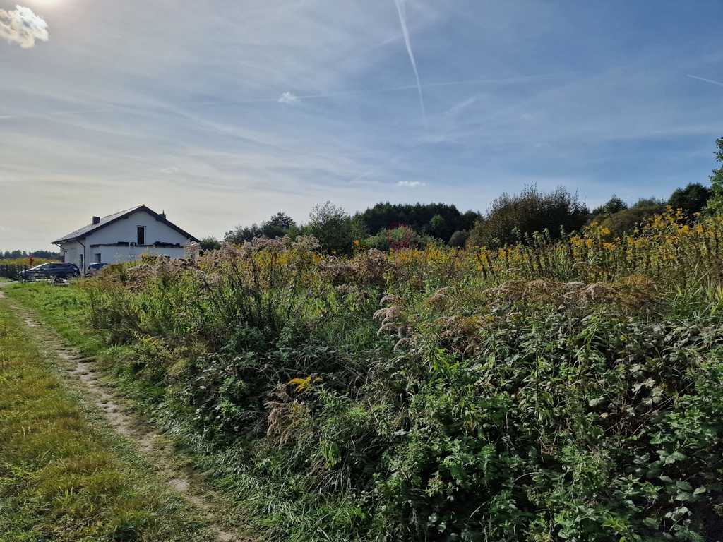 Ostatnia działka z WZ w spokojnej okolicy! (3)