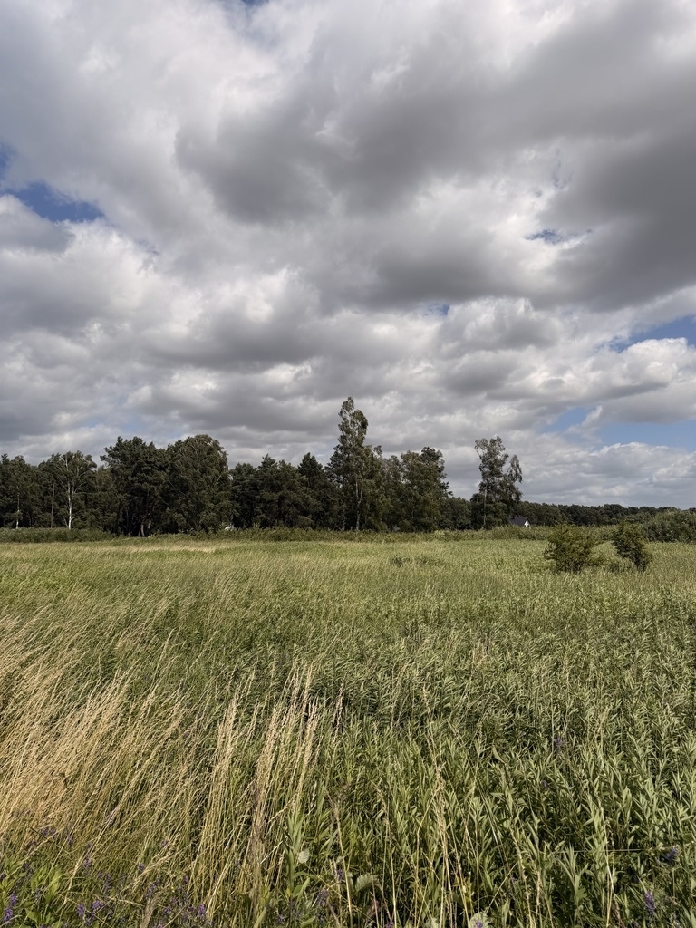 Działki z pozwoleniem na budowę w Niedźwiedziu (8)