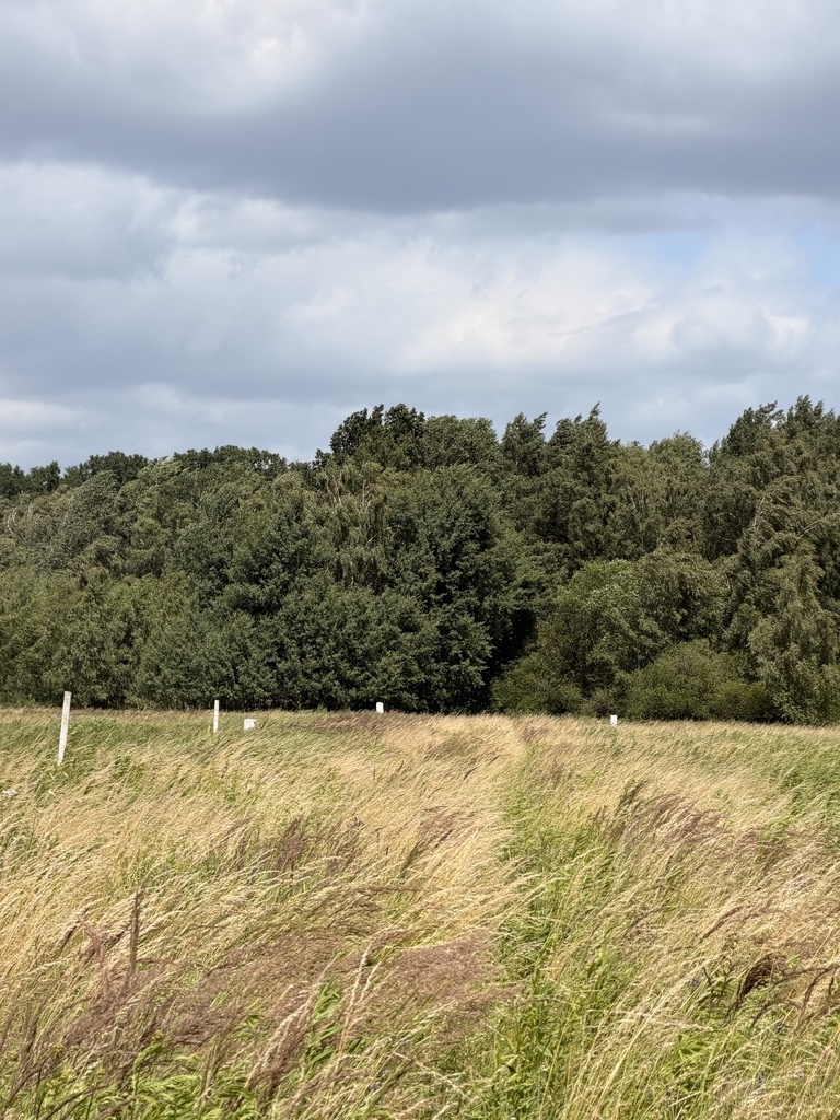 Działki z pozwoleniem na budowę w Niedźwiedziu (5)