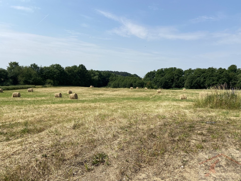 ostatnie działki_Atrakcyjna działka  Glinna (3)