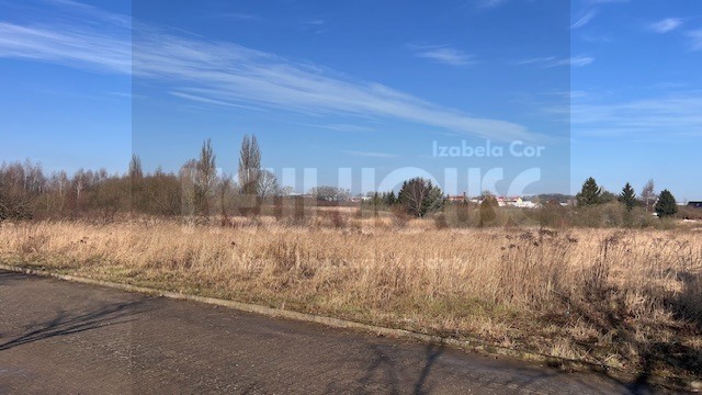 Działka z WZ Mierzyn- dobra cena! (8)