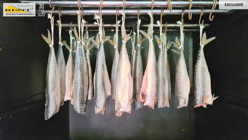 Dom z ogrodem blisko morza, pompa ciepła (19)