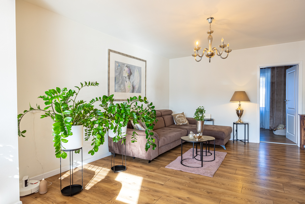 Dom wolnostojący po kapitalnym remoncie- Tanowo (4)