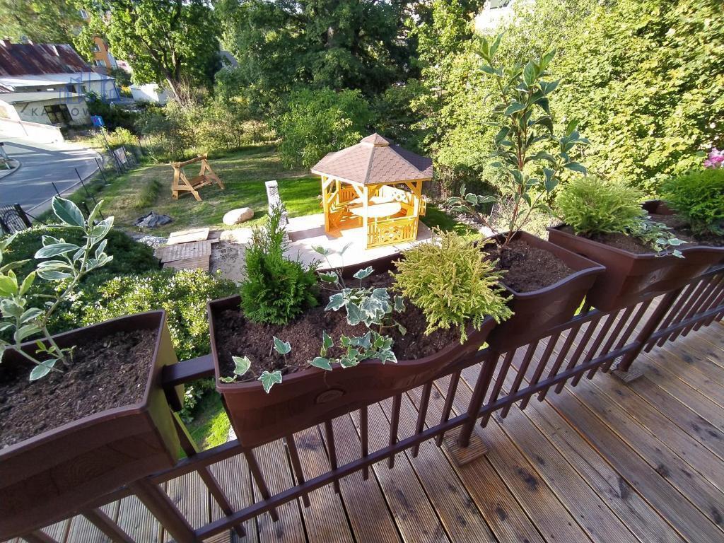 Dom, który pachnie lasem i zarabia, gdy Ty śpisz (23)