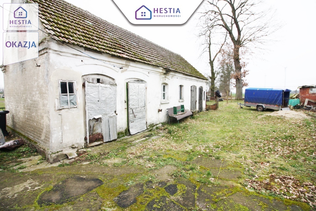 Połowa bliźniaka niedaleko Dolic (22)