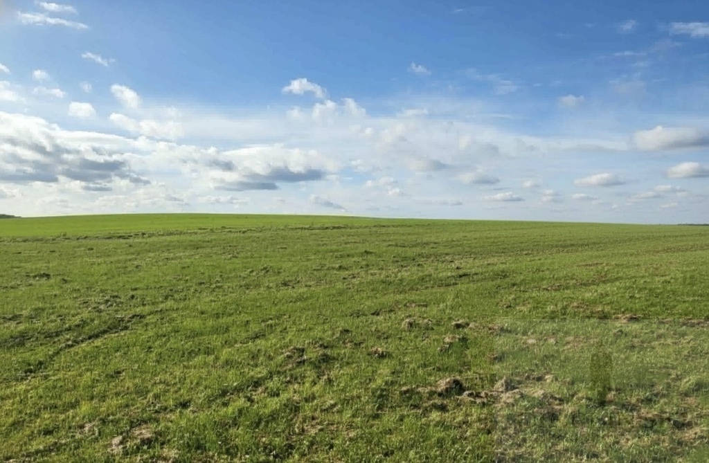 Na sprzedaż działka budowlana - Lędzin, 1309m2 (3)