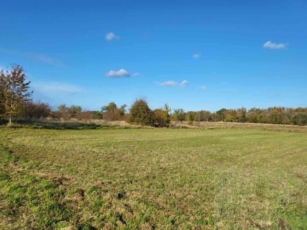 Na sprzedaż działka budowlana - Lędzin, 1309m2 (5)