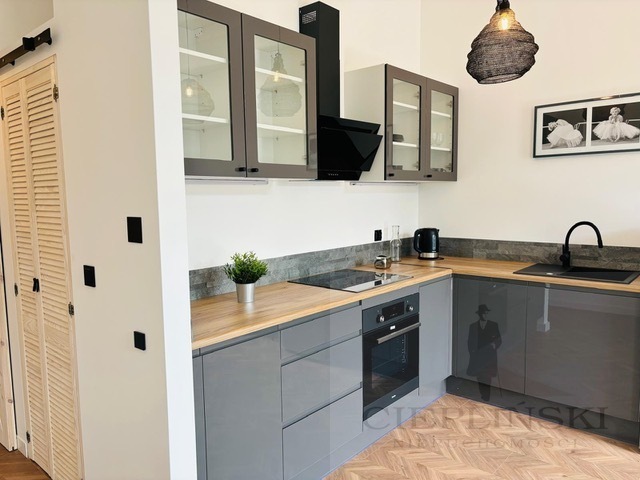 Do wynajęcia Nowoczesny loft 39 m2 ,Smart House, (2)