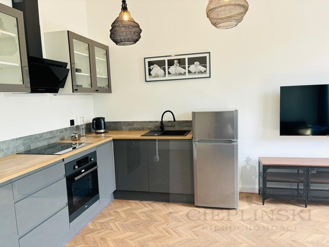 Do wynajęcia Nowoczesny loft 39 m2 ,Smart House, (6)