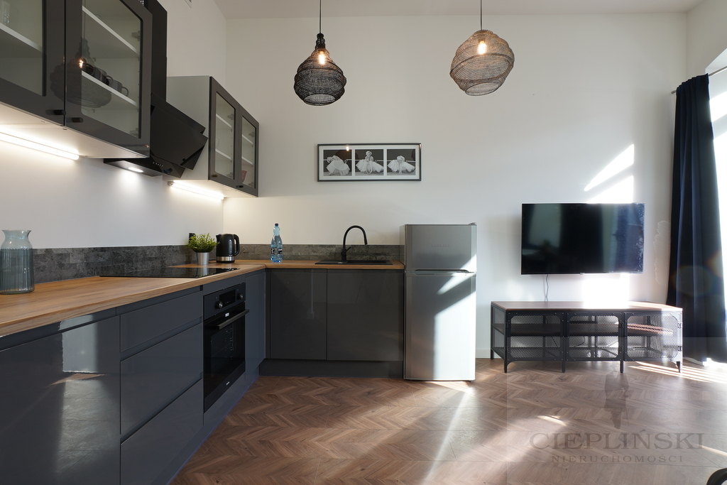 Do wynajęcia Nowoczesny loft 39 m2 ,Smart House, (12)