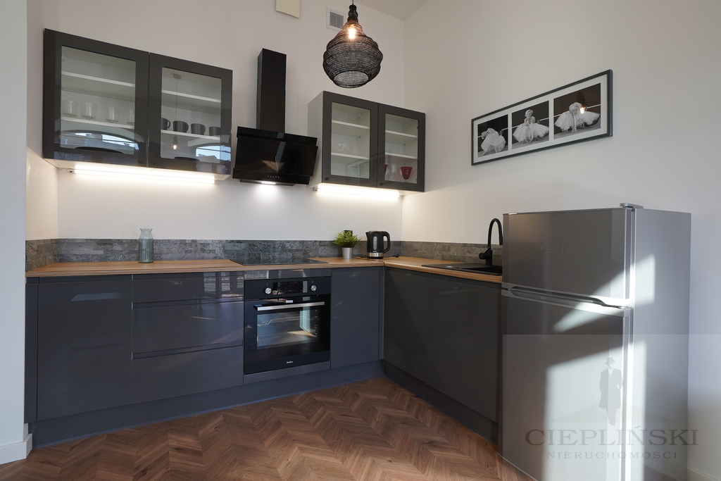 Do wynajęcia Nowoczesny loft 39 m2 ,Smart House, (13)