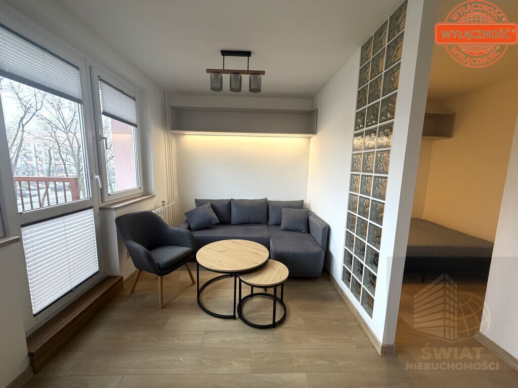 Do wynajęcia komfortowe mieszkanie 1-pok. (2)