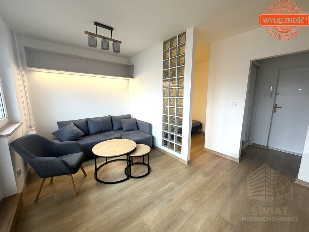 Do wynajęcia komfortowe mieszkanie 1-pok. (3)