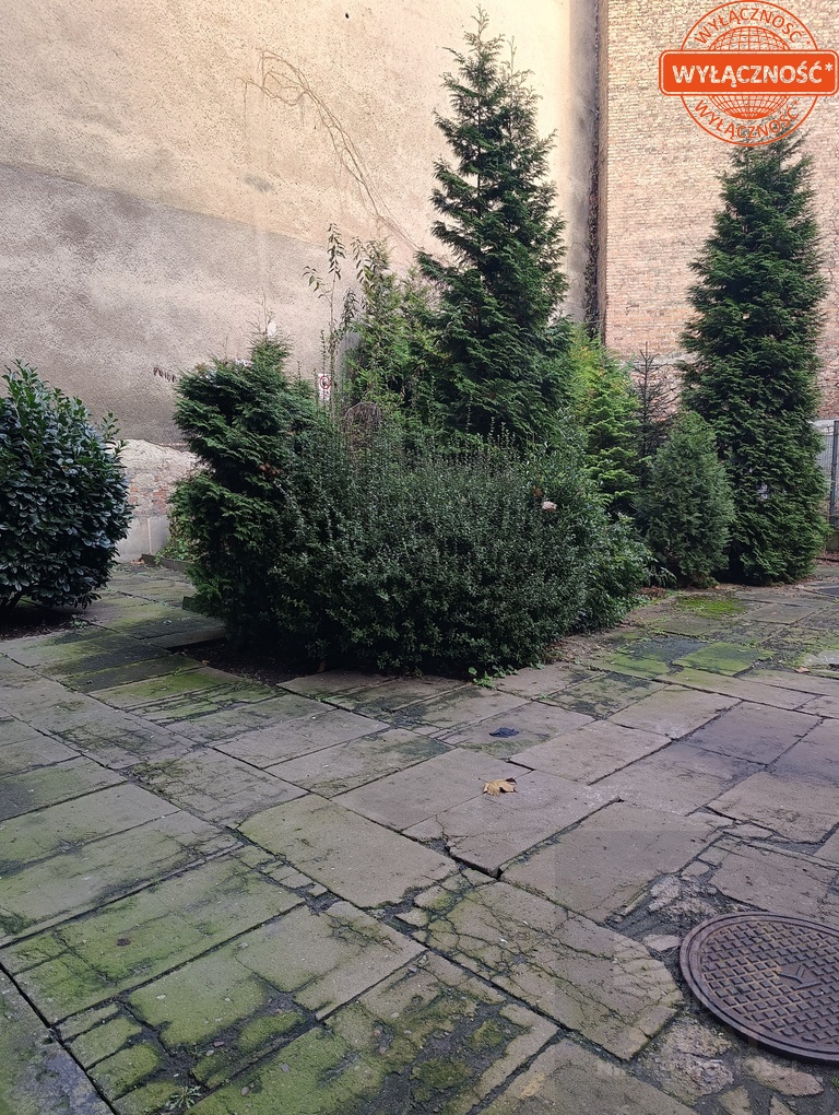 Atrakcyjne mieszkanie w centrum - 2 pokoje, balkon (15)