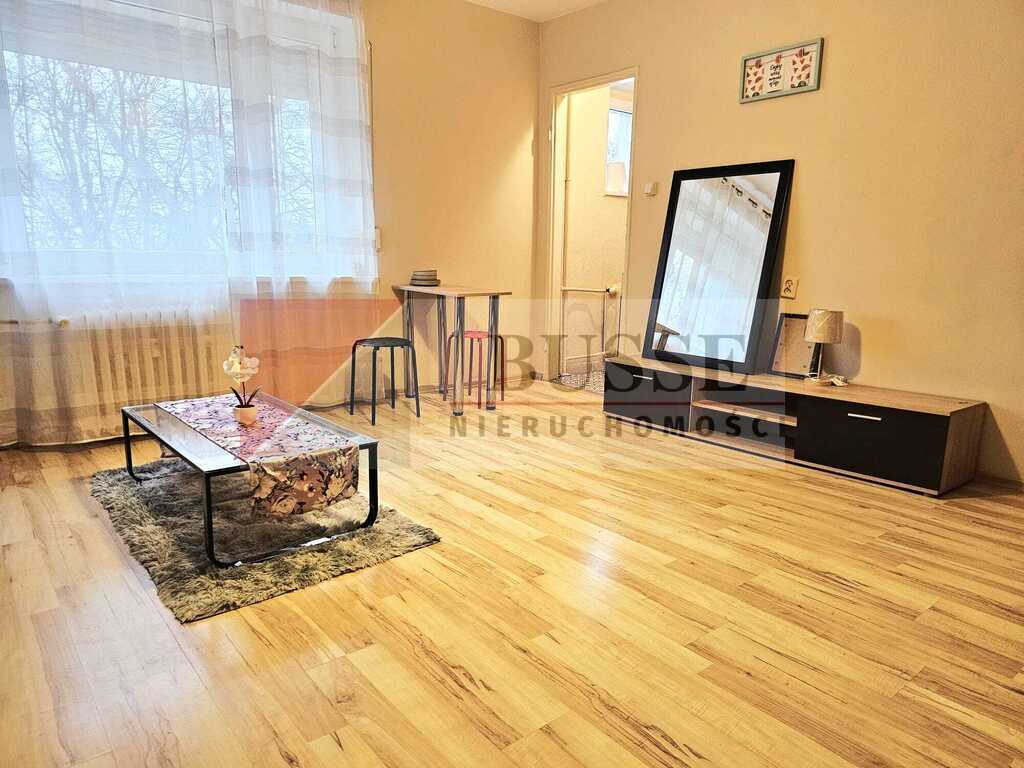 Kawalerka w uroczym zakątku Pogodna! (2)