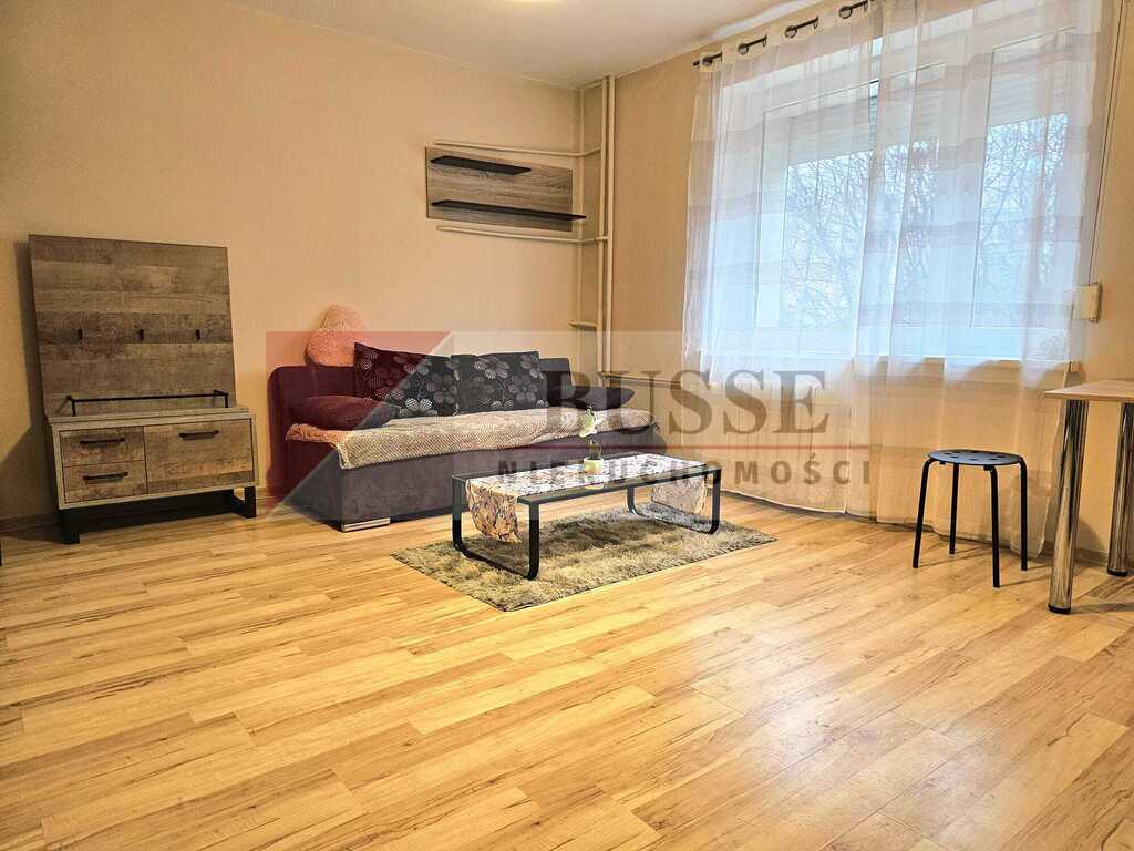 Kawalerka w uroczym zakątku Pogodna! (1)