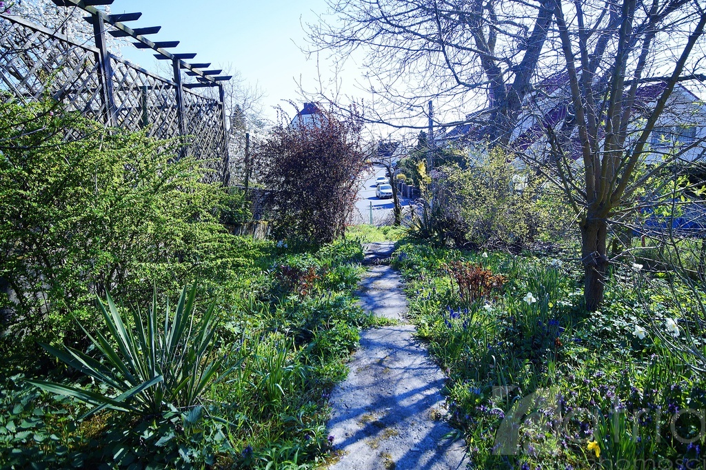 3 pokoje z ogrodem i działką Pomorzany (11)