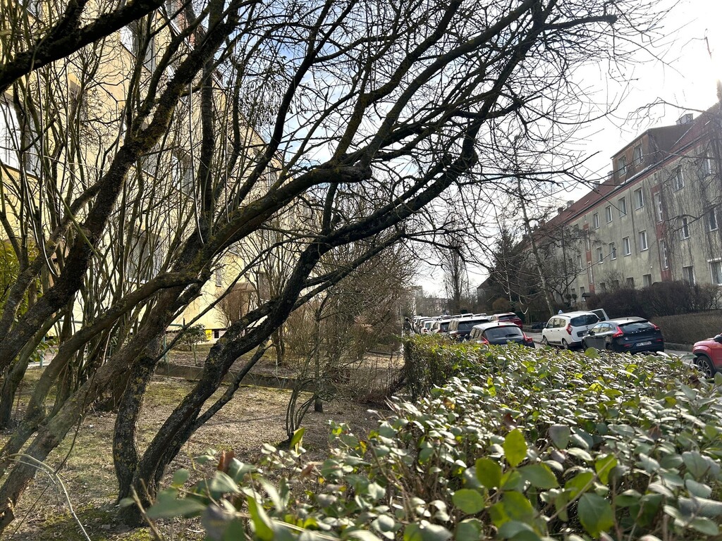 Pogodno * umeblowane * wysoki parter (11)